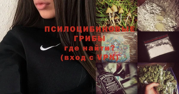 бошки Арсеньев