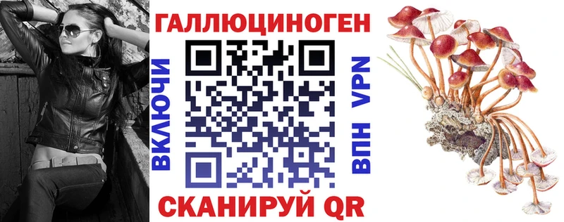 Галлюциногенные грибы мухоморы  Сенгилей 